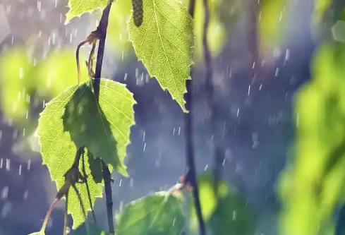 1779557263557548.png image.png