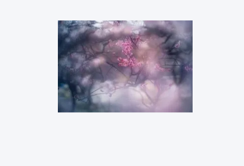 1779558422354700.png image.png