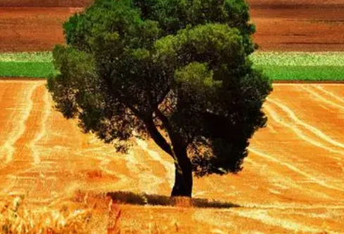 1779563561205428.png image.png