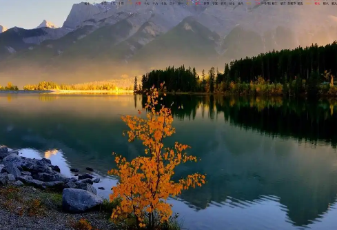 1779565220430859.png image.png