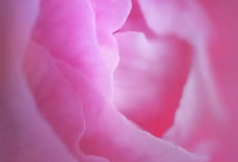 1779566048111321.png image.png