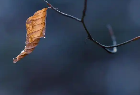 1779569364348598.png image.png