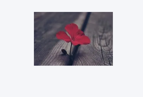 1779572183430735.png image.png